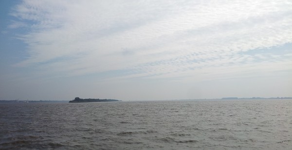 Elbinsel
