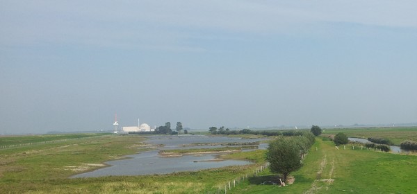 Natur mit Atomkraftwerk