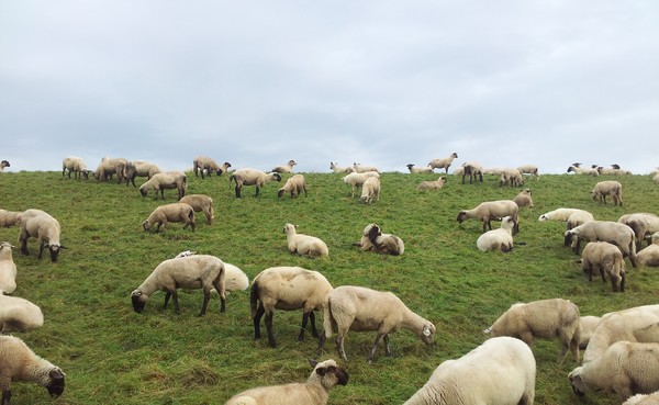 Obligatorisches Schaffoto für Vera